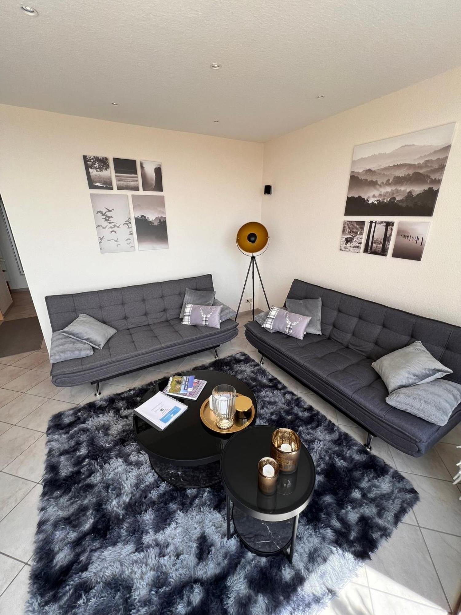 Penthouse - Panorama Suite - Hohegeiss เบราน์ลาเกอ ภายนอก รูปภาพ